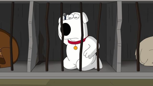 Padre de Familia S16E15