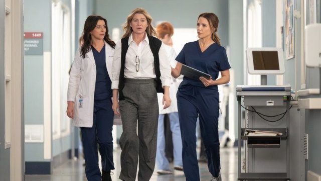Anatomía según Grey S22E18