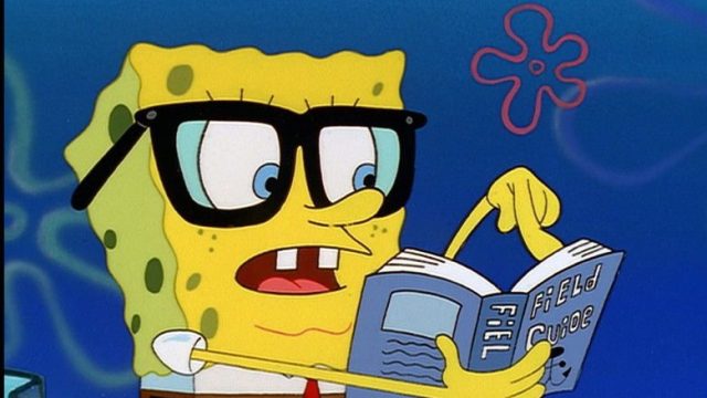 Bob Esponja S01E03