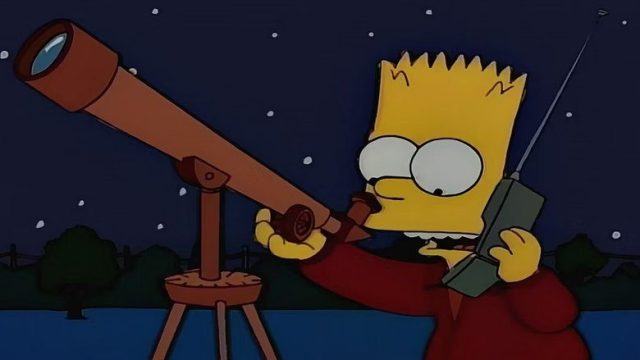 Los Simpson S06E14
