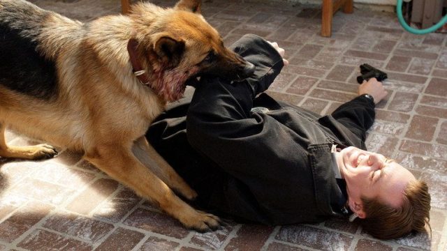 NCIS: Criminología Naval S05E13