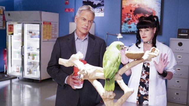 NCIS: Criminología Naval S14E03