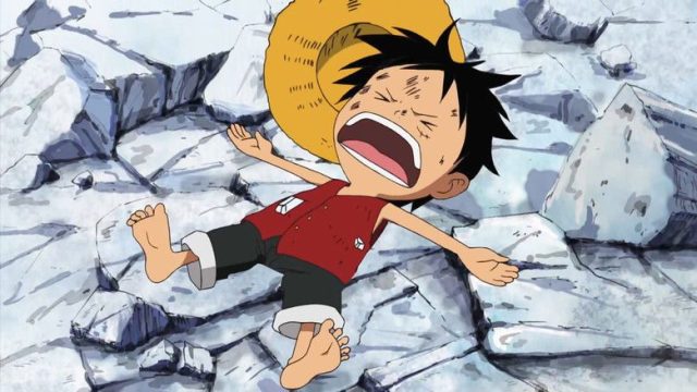 One Piece S09E306