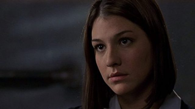La Ley y el Orden: Unidad de Víctimas Especiales S05E15