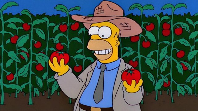 Los Simpson S11E05