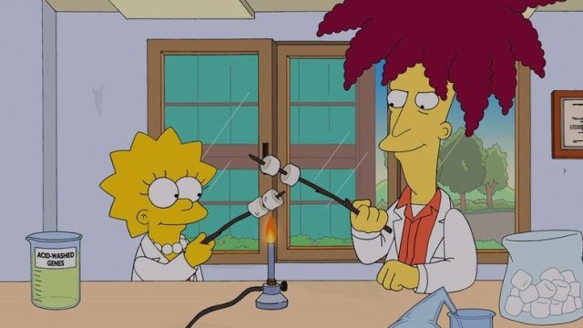 Los Simpson S25E13