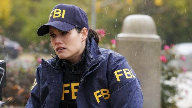 F.B.I. S05E16
