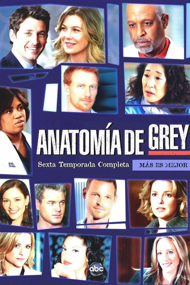 Anatomía según Grey Temporada 6
