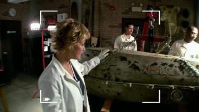 NCIS: Criminología Naval S03E04