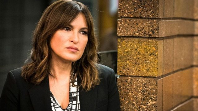 La Ley y el Orden: Unidad de Víctimas Especiales S19E12