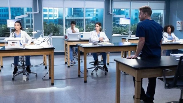 Anatomía según Grey S19E06