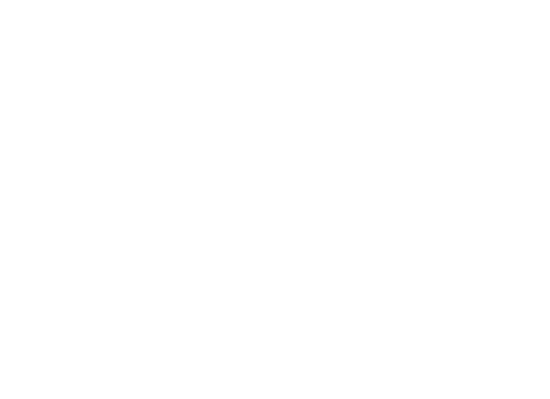 El brutalista