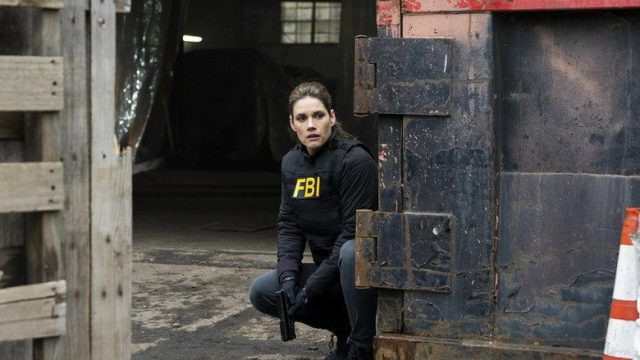 F.B.I. S05E13