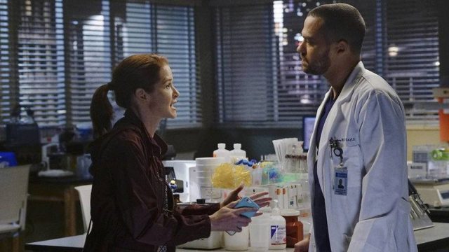 Anatomía según Grey S12E15
