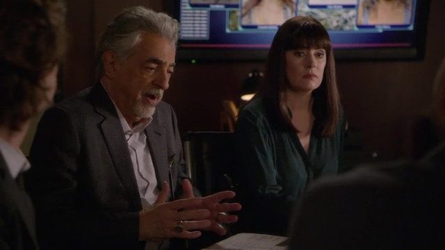 Mentes Criminales S15E08