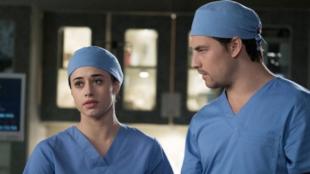 Anatomía según Grey S14E19