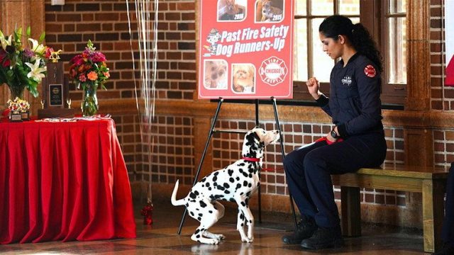 Chicago en llamas S07E11