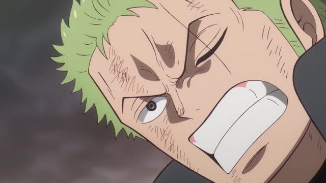 One Piece S22E1150
