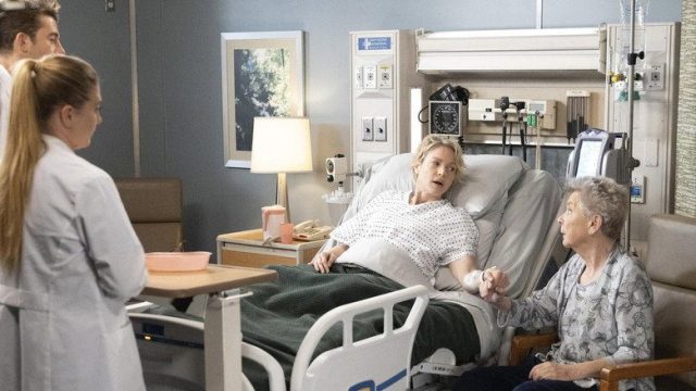 Anatomía según Grey S18E19