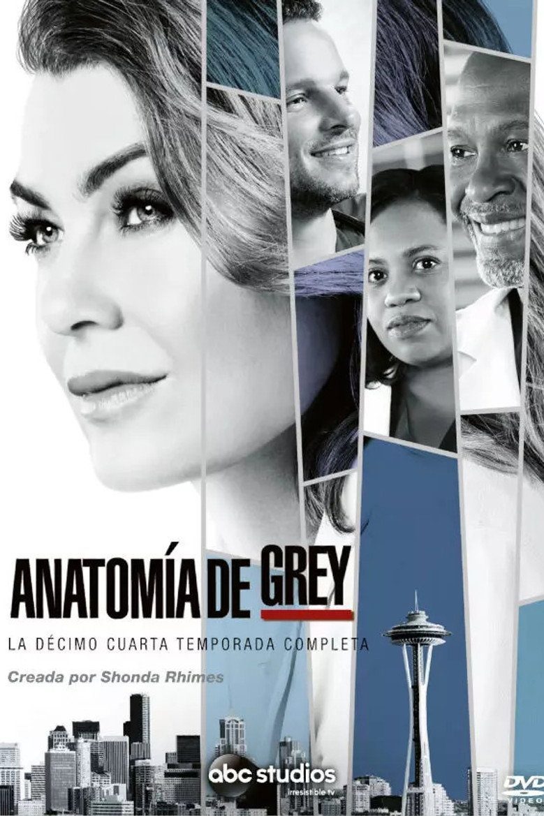 Anatomía según Grey Temporada 14