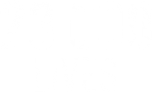 23 000 vidas