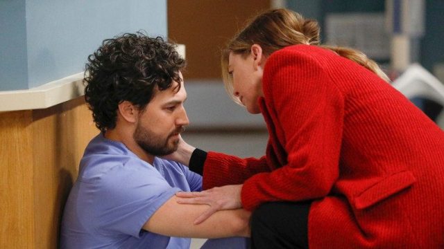 Anatomía según Grey S16E21