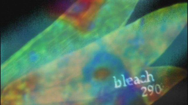 Bleach S01E290