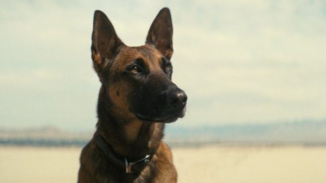 Fallout S01E07