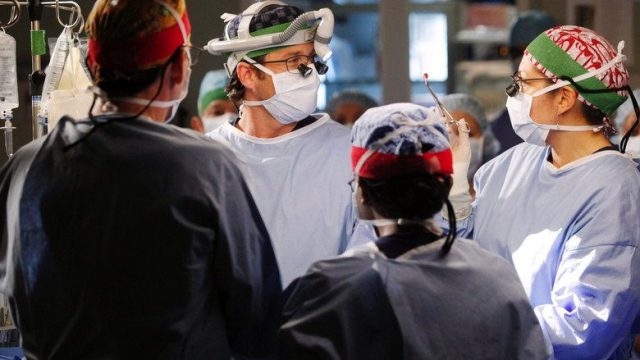 Anatomía según Grey S08E11
