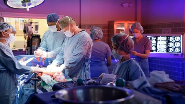 Anatomía según Grey S13E08