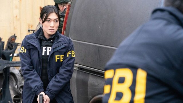 F.B.I. S02E13