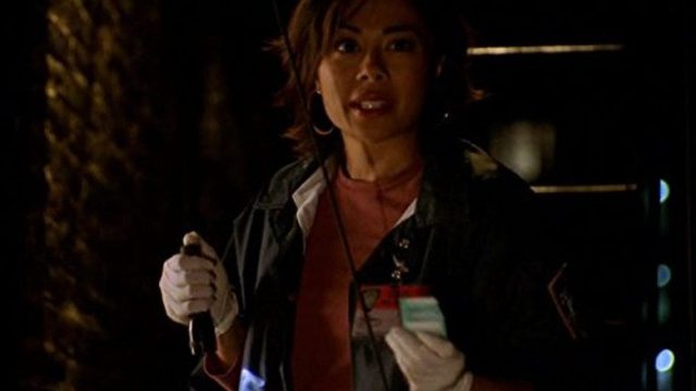 La Ley y el Orden: Unidad de Víctimas Especiales S06E09