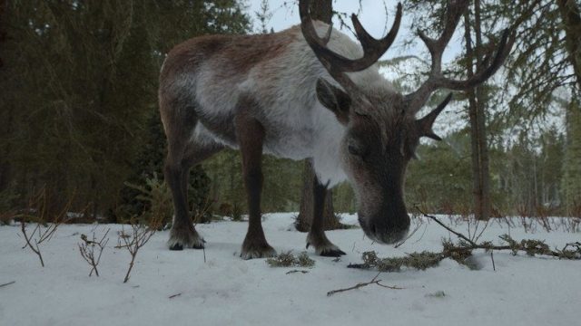Jane S01E09
