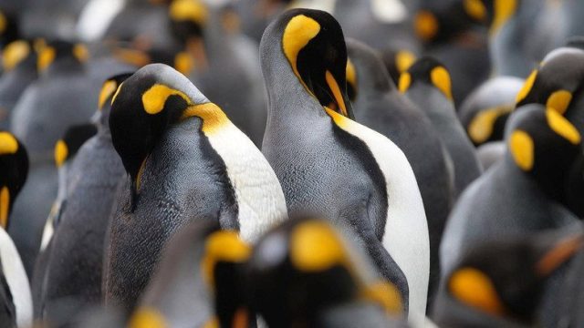 A Year on Planet Earth S01E05