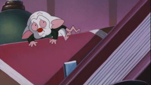Pinky y Cerebro S03E27