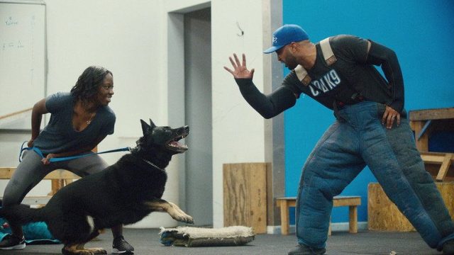 Adiestramiento canino S01E03
