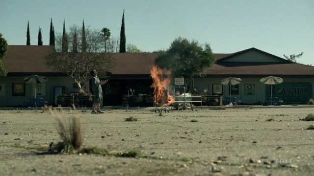 El último hombre en la Tierra S01E09