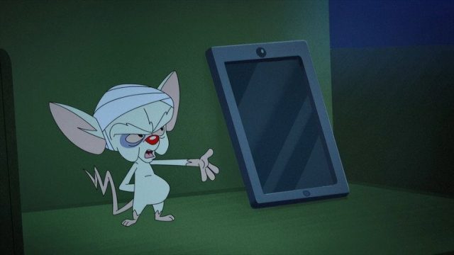 Animaniacs S01E15