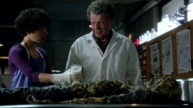 Fringe S04E03