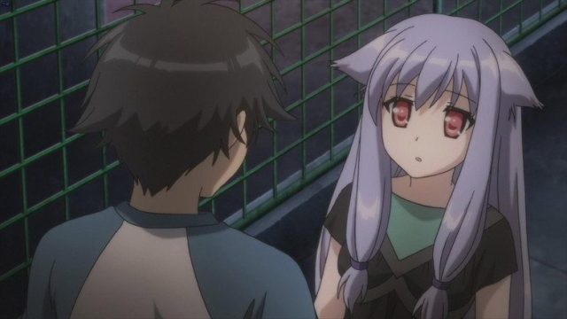 迷い猫オーバーラン! S01E03