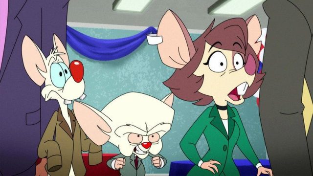Animaniacs S01E24