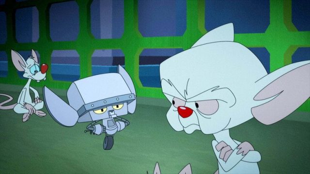 Animaniacs S01E12