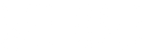 Rez Ball