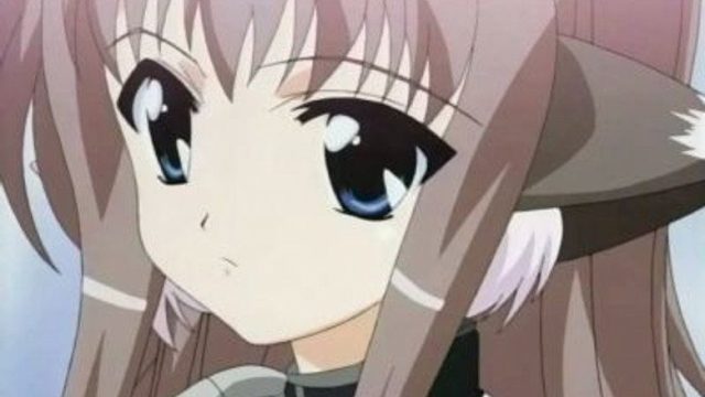 魔法少女リリカルなのは S02E07