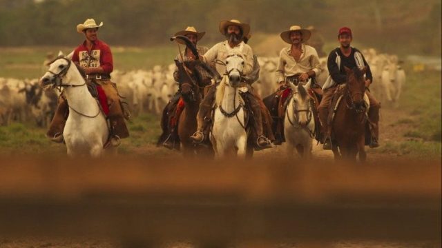 Pantanal S01E166