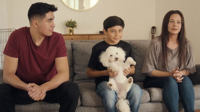 Adiestramiento canino S01E04
