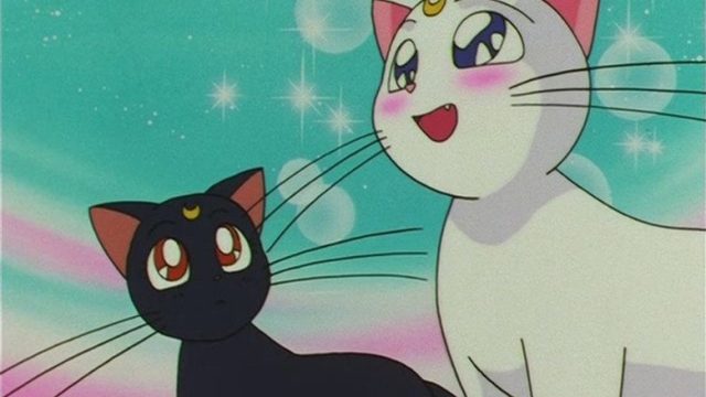 Sailor Moon S04E06