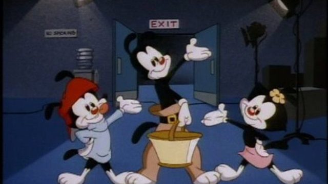 Animaniacs S01E105