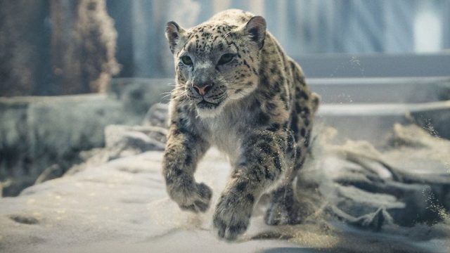 His Dark Materials S03E07