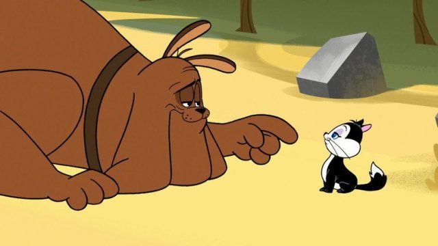 New Looney Tunes S03E12